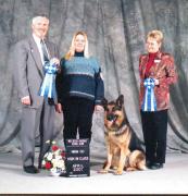 Two High in Class ribbons & his Companion Dog Obedience Title in one day!